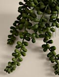 Artificial Baby String Of Pearls in Ceramic Pot