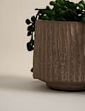 Artificial String Of Hearts in Textured Ceramic Pot