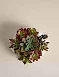 Artificial Succulents in Concrete Pot