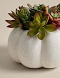 Umělé sukulenty v betonovém květináči