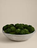 Artificial Moss in Large Cement Bowl