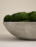 Artificial Moss in Large Cement Bowl