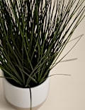 Artificial Grass in Ceramic Footed Pot