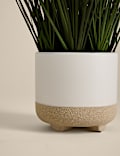 Artificial Grass in Ceramic Footed Pot