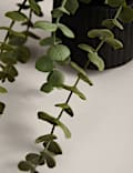 Artificial Trailing Baby Plant in Textured Ceramic Pot