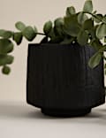 Artificial Trailing Baby Plant in Textured Ceramic Pot