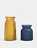 2pk Textured Glass Vases