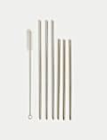 Set of 6 Reusable Stainless Steel Straws