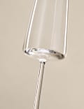 Set of 6 Modern Champagne Flutes