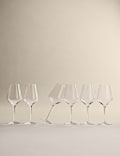 Set of 6 Classic Red Wine Glasses
