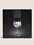Set of 4 Maxim Gin Glasses