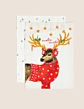 Set of 2 Pure Cotton Christmas Tea Towels