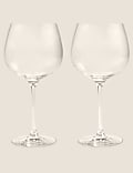 Set of 2 Gin Glasses