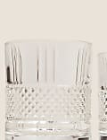 Set of 4 Adeline Glass Tumblers