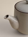 Michigan Teapot