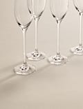 Set of 4 Maxim Champagne Flutes