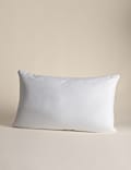 Mulberry Silk Soft Single Pillow