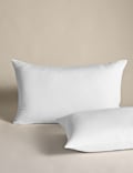2pk Advanced Allergy Protection Pillows