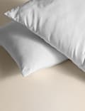 2pk Advanced Allergy Protection Soft Pillows