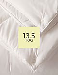 Soft As Down 13.5 Tog All Seasons Duvet