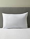 2pk Microfibre Medium Pillows