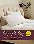 2pk Deluxe Hungarian Goose Feather & Down Soft Pillows