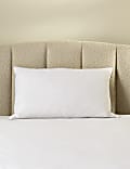 2pk Deluxe Hungarian Goose Feather & Down Soft Pillows