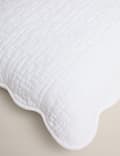 Pure Cotton Scallop Edge Pillow Sham