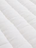 Pure Cotton Textured Ruffle Trim Cushion