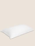 2pk Firm Anti Allergy Plus Pillows