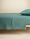 Cotton Rich Flat Sheet