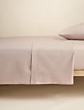 Cotton Rich Flat Sheet