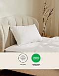 Pure Wool Pillow