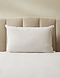 Pure Wool Pillow