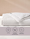 Goose Feather & Down 2.5 Tog Duvet