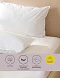 2pk Goose Feather & Down Soft Pillows