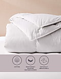 Goose Feather & Down 15 Tog Duvet