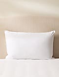2pk Goose Feather & Down Firm Pillows
