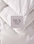 Goose Feather & Down 10.5 Tog Duvet