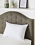 Comfortably Cool Medium Pillow