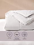 Goose Feather & Down 13.5 Tog All Season Duvet