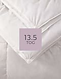 Goose Feather & Down 13.5 Tog All Season Duvet