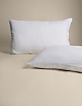 2pk Anti Allergy Plus Medium Pillows