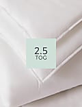 Anti Allergy Plus 2.5 Tog Duvet