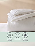 Anti Allergy Plus 10.5 Tog Duvet