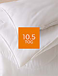 Anti Allergy Plus 10.5 Tog Duvet