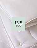 防敏感特效 13.5 托格全天候羽絨被