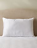 2pk Touch of Silk Firm Pillows