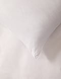 2pk Duck Feather & Down Medium Pillows