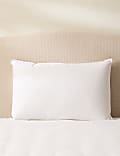 2pk Duck Feather & Down Firm Pillows